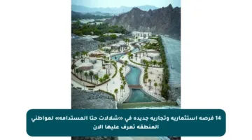 14 فرصة استثمارية وتجارية جديدة في «شلالات حتا المستدامة» لمواطني المنطقة تعرف عليها الآن